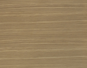 ModernWood Texture