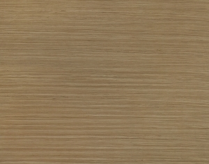 ModernWood Texture