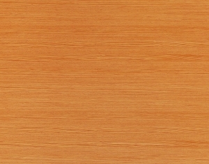 ModernWood Texture