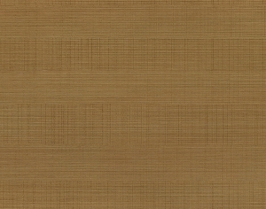 ModernWood Texture