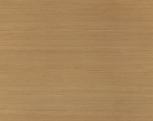 ModernWood Texture