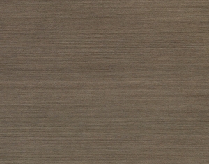 ModernWood Texture