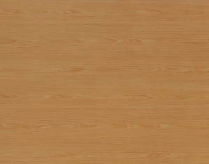 ModernWood Texture