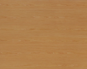 ModernWood Texture