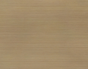 ModernWood Texture