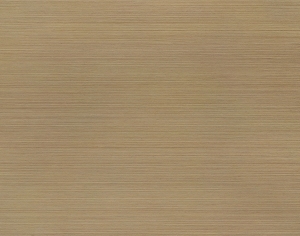 ModernWood Texture