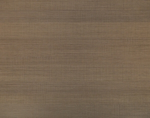 ModernWood Texture