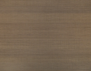 ModernWood Texture