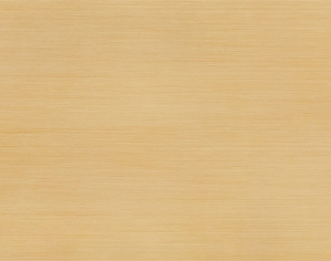 ModernWood Texture