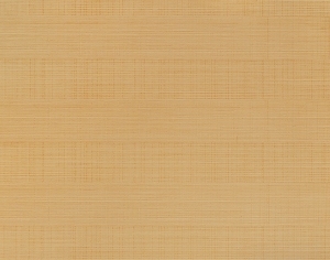 ModernWood Texture