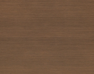 ModernWood Texture