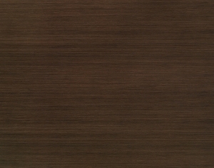 ModernWood Texture