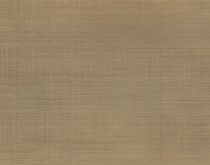 ModernWood Texture