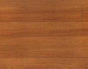 ModernWood Texture