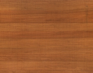 ModernWood Texture