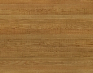 ModernWood Texture