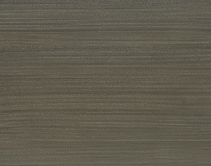 ModernWood Texture