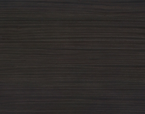 ModernWood Texture