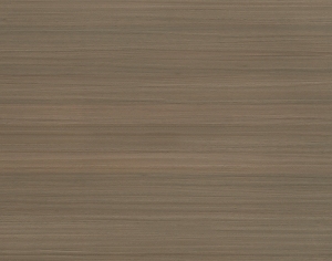 ModernWood Texture