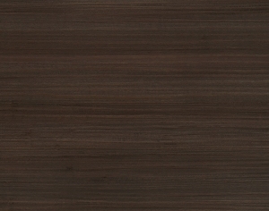 ModernWood Texture