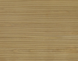 ModernWood Texture