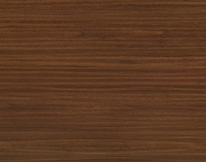 ModernWood Texture