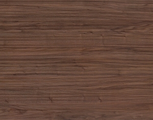 ModernWood Texture