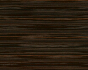 ModernWood Texture