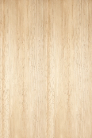 ModernWood Texture