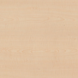 ModernWood Texture