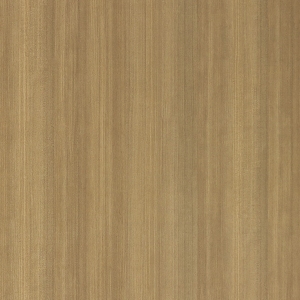 ModernWood Texture