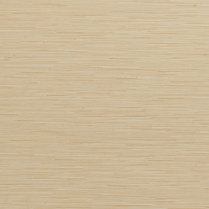 ModernWood Texture