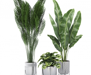 Modern Ground Green Plant Potted Plants-ID:406100996