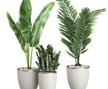 Modern Ground Green Plant Potted Plants-ID:992275002