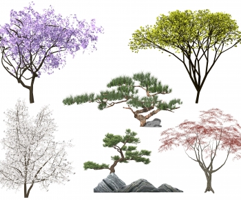 现代景观树 造型树-ID:570626974