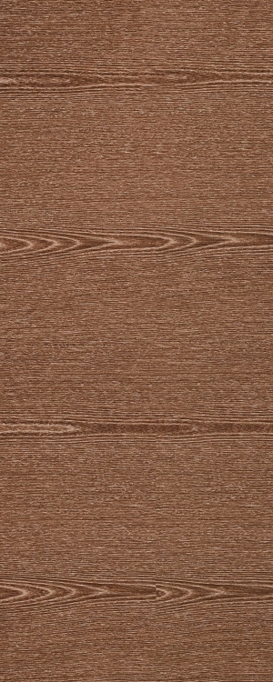 ModernWood Texture