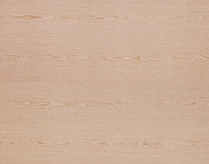 ModernWood Texture