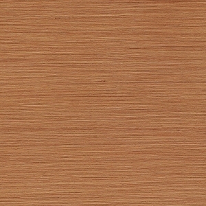 ModernWood Texture