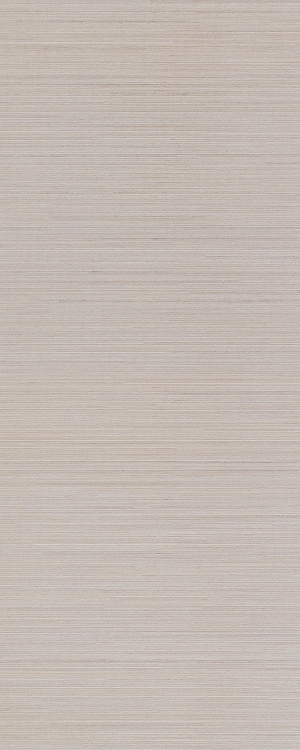 ModernWood Texture