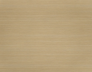 ModernWood Texture