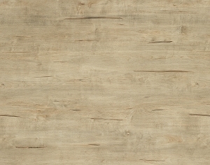 ModernWood Texture