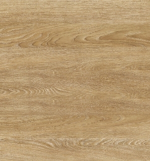 ModernWood Texture