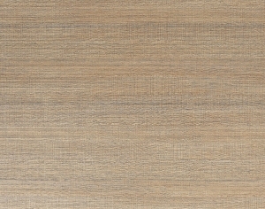 ModernWood Texture