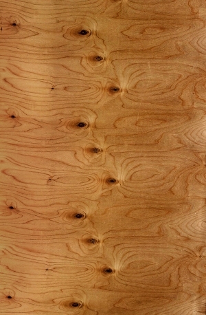 ModernWood Texture