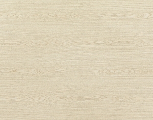 ModernWood Texture