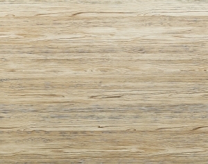 ModernWood Texture