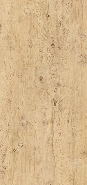 ModernWood Texture