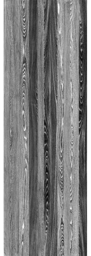 ModernWood Texture