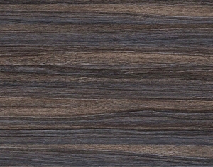 ModernWood Texture