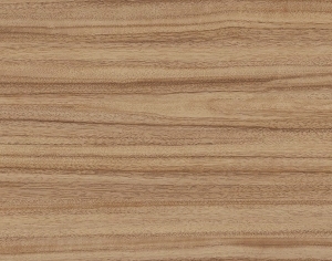 ModernWood Texture